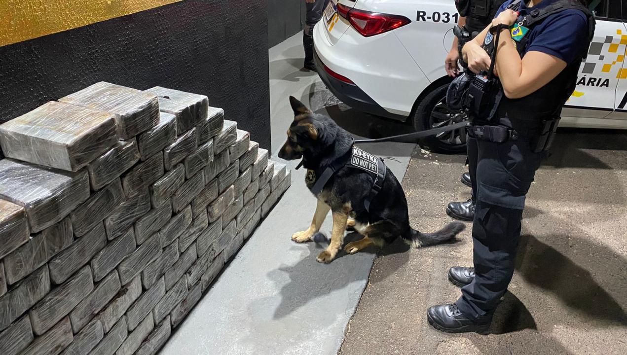Foto 2 de 4 — Prisão: 250 kg de maconha são apreendidas em rodovia da região